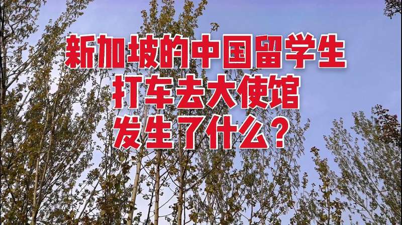 晓说:新加坡的立国之本是什么?高晓松爆料,
